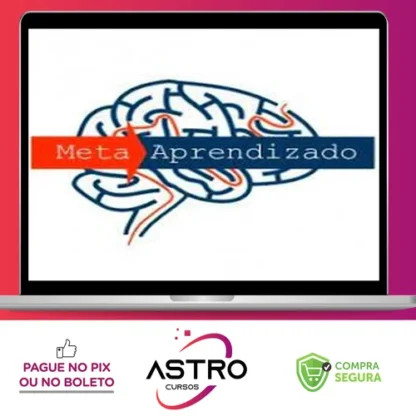 Meta Aprendizado Acelerado - Marcelo Maia