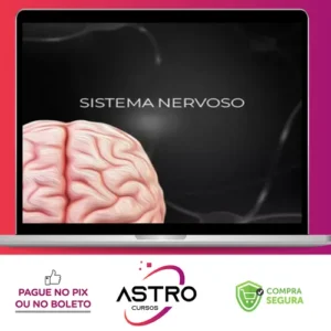 Fisiologia do Sistema Nervoso - Fisiologia Didática