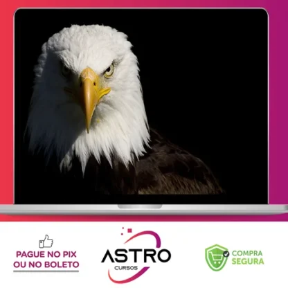 Mentoria Águias Do Tiktok - Samuka