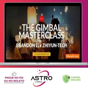 The Gimbal Masterclass - Brandon Li [INGLÊS]
