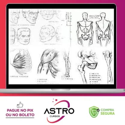 Livros de Desenho - Andrew Loomis