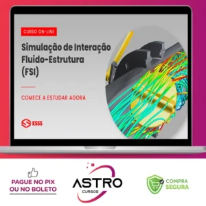 Curso de Simulação de Interação Fluído-Estrutura - Iesss