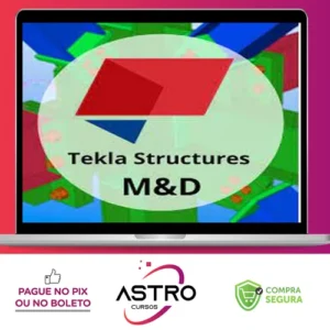 Curso Tekla Structures M&D - Fernando de Cesaro