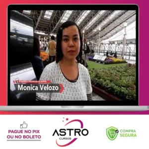 Japonês Básico: Escreva em Japonês - Monica Velozo