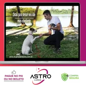 Desafio Cão Obediente - Marcelo Bessa