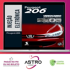 Injeção Eletrônica: Peugeot 206 - VideoCarro