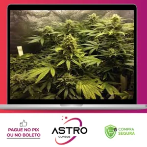 Cultivo Indoor de Plantas Medicinais - Jean Silva