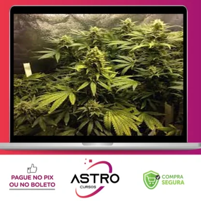 Cultivo Indoor de Plantas Medicinais - Jean Silva